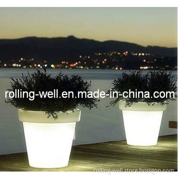 Luminous LED Flower Pot / LED Vase